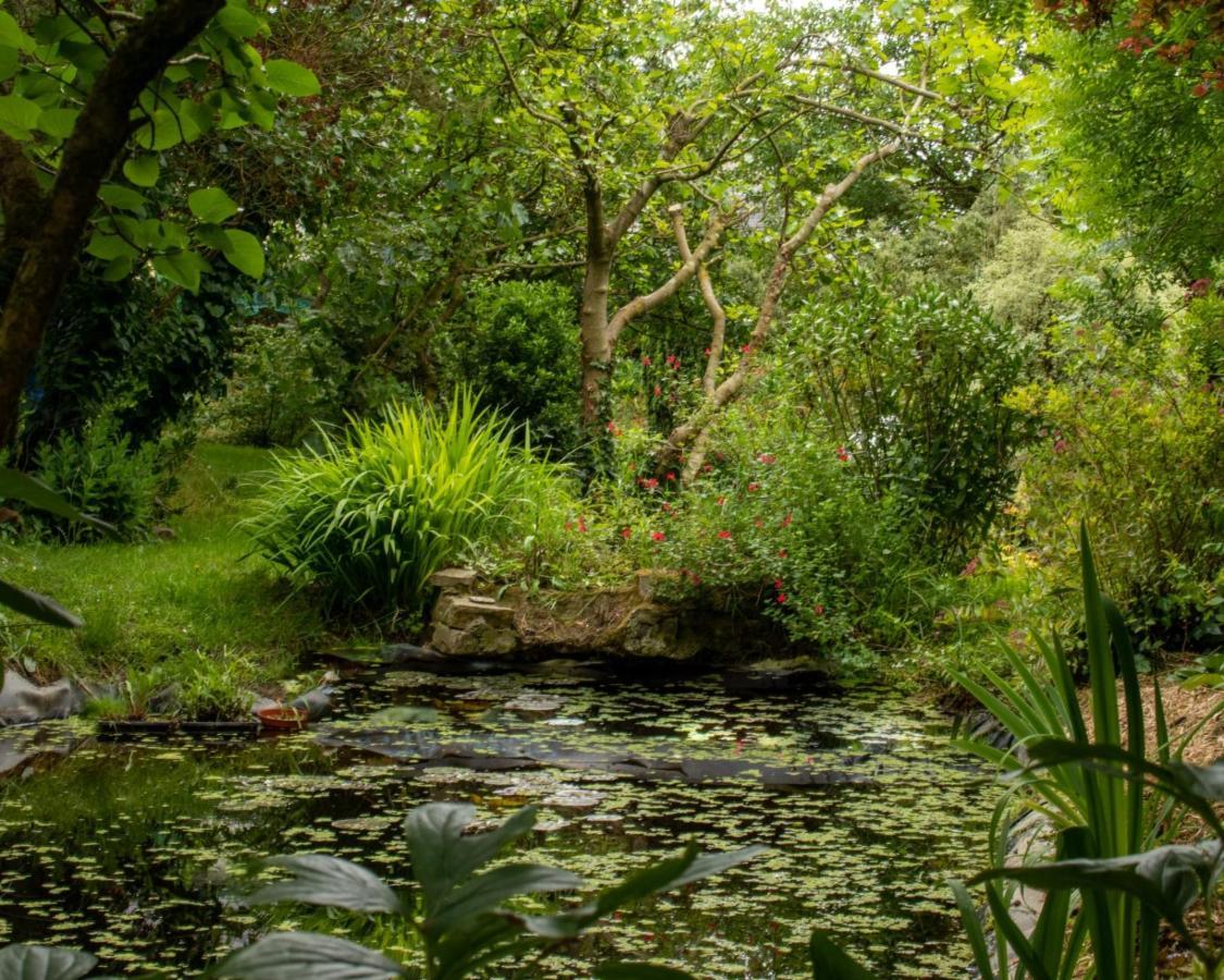 Une Suite Au Jardin Hyenville Luaran gambar